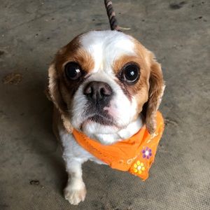 Meet your Posher, Suzanne